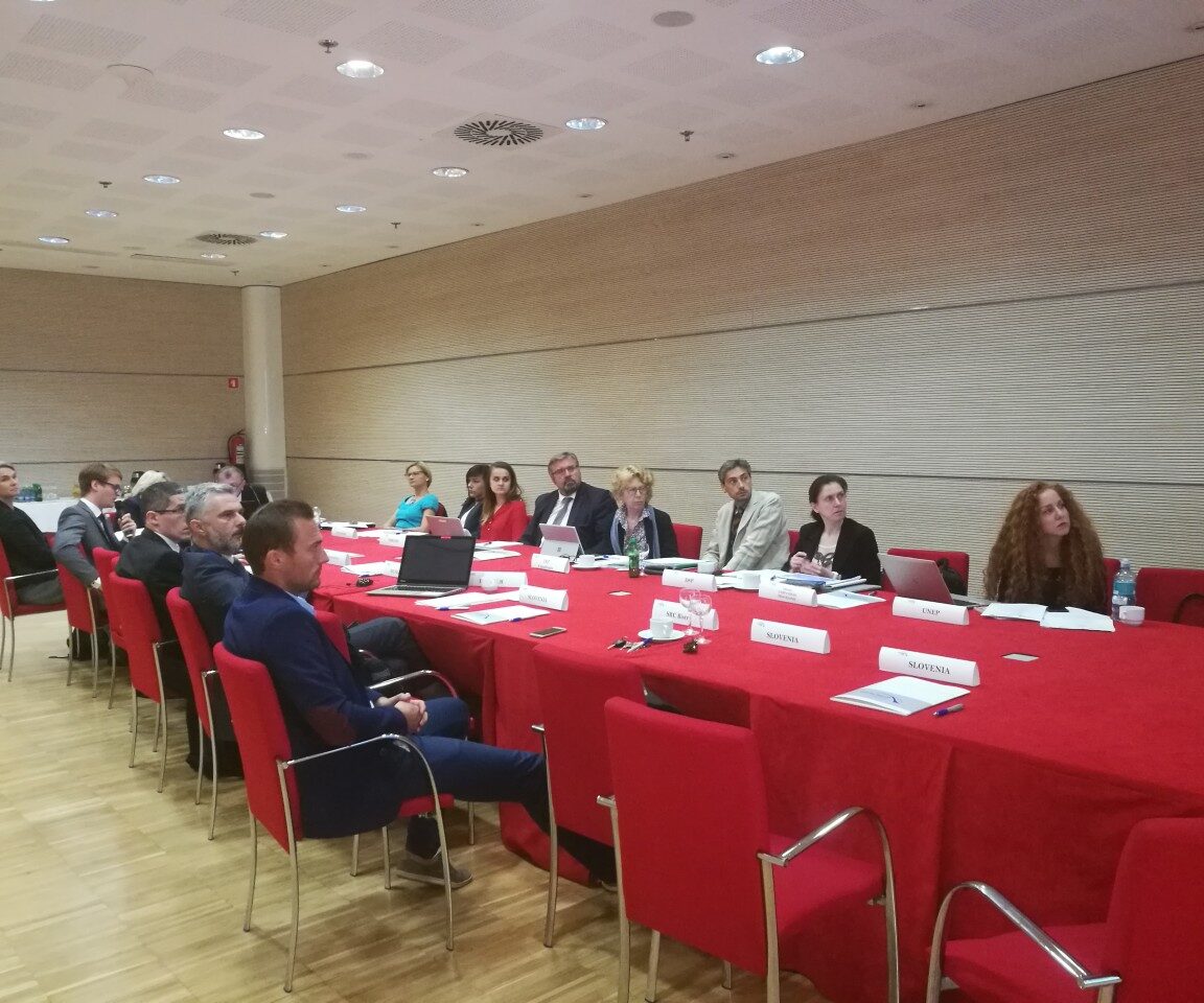 14TH SG MEETING, 30.5.2017, LJUBLJANA